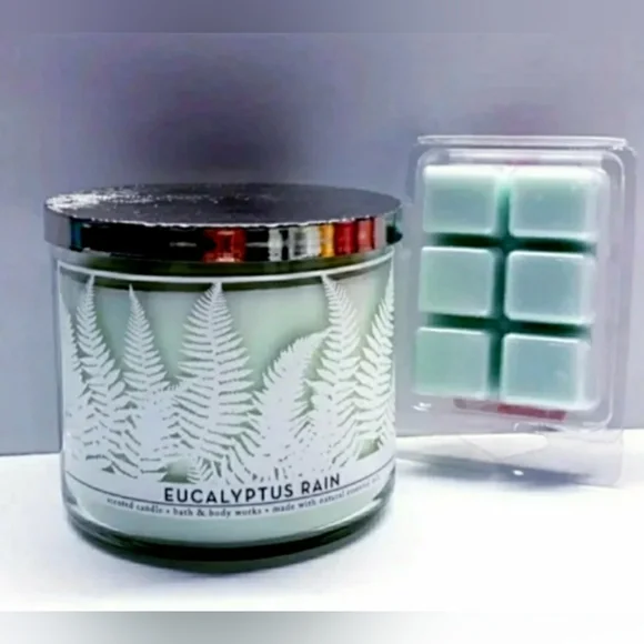 EUCALYPTUS RAIN -Bath & Body Works Candle Wax Melts- $8 per pack - Picture 7 of 9